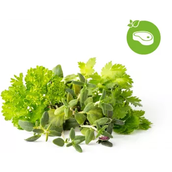 Capsule de plante amestec condimente pentru friptură Click & Grow pentru Smart Garden, pachet de 9 (PPMSSX9)