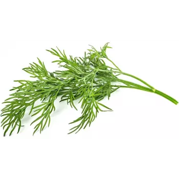 Rezervă capsule de plante mărar Click & Grow SGR49x3 pachet de 3
