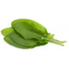 Capsule de plante măcriș Click & Grow pentru Smart Garden, pachet de 3 (SGR55X3)