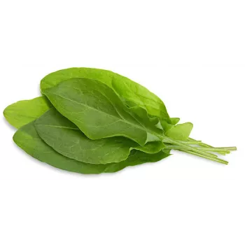 Capsule de plante măcriș Click & Grow pentru Smart Garden, pachet de 3 (SGR55X3)