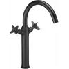 DEANTE Arnika High Basin Mixer Chrome Single-Lever Deck-Mounted