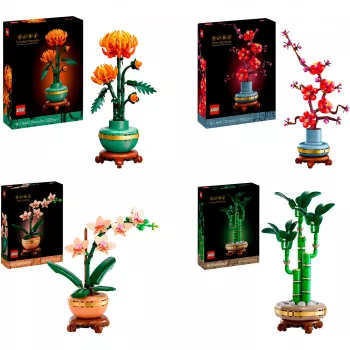 LEGO Botanicals Pachet Cele patru anotimpuri