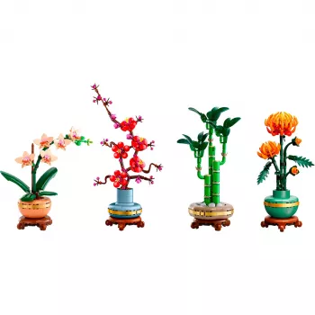 LEGO Botanicals Pachet Cele patru anotimpuri