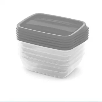 CURVER Vedo set cutii de depozitare 5x0,5L transparent gri