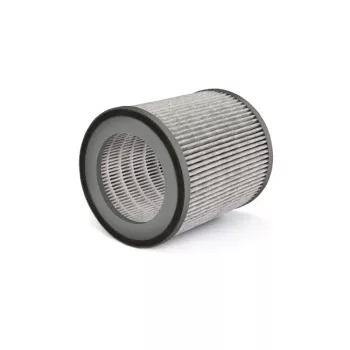 Filtru Soehnle AirFresh Clean Connect 500