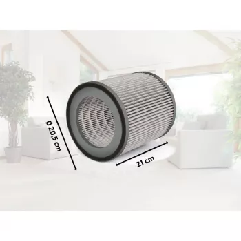Filtru Soehnle AirFresh Clean Connect 500