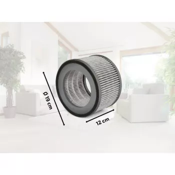 Filtru SOEHNLE AirFresh Clean 400