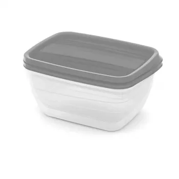 Set de boluri dreptunghiulare pentru hrană animale Curver Vedo 2x1,3L transparent gri