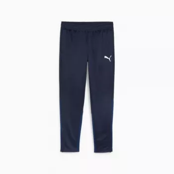 Pantaloni Puma Team Goal Training pentru bărbați bleumarin 658639 06 M