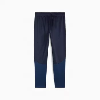 Pantaloni Puma Team Goal Training pentru bărbați bleumarin 658639 06 M