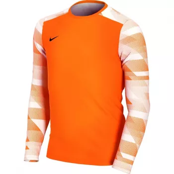 Bluză portar Nike Dry Park IV JSY LS GK Junior, portocaliu CJ6072 819