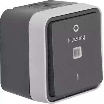 Întrerupător de control Hager WNC015 cu 2 poli, montaj aparent, cu lampă de control, gri