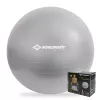 Minge de gimnastică SCHILDKROT 65 cm argintie anti-explozie 960156