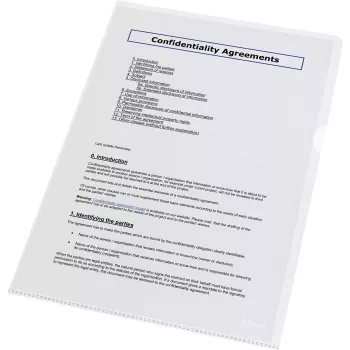 Plicuri perforate LEITZ Esselte Standard Plus A4, pachet de 100, transparente, polipropilenă 56218