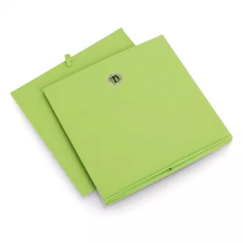 Zeller 14114 Non-Woven Storage Box, 30 L, 32 x 32 x 32 cm, Green