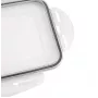 Cutie pentru cuburi de gheață APS cu capac, transparent/gri, set de 2, polipropilenă, rezistentă la mașina de spălat vase, 36103