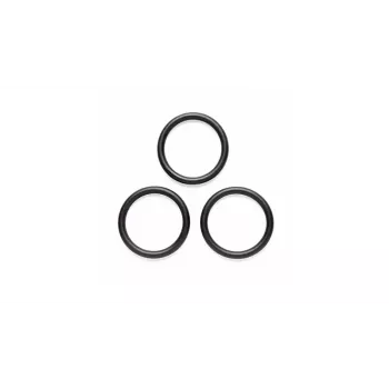 O-ring GLORIA pentru pompă 172/229 (706400.0000)