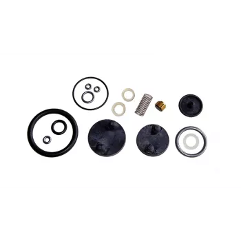Set de garnituri GLORIA pentru pulverizator sub presiune, compatibil cu tipurile 229 S, 229 T, 39 TE, 42 E, 229 TS 707360.0000