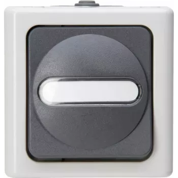 Întrerupător universal HEINRICH KOPP BLUE ELECTRIC gri, aparent, pentru medii umede, 10 A, 250 V (560656006)