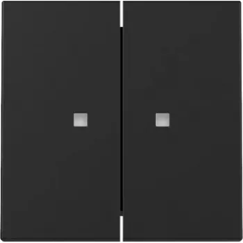 Capac basculant Gira System 55, 2 poziții, pentru funcție de control, negru mat, 3631005