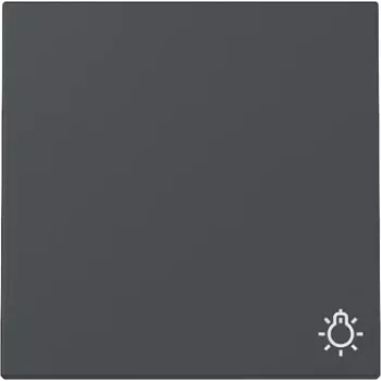 Capac clapă Gira System 55 cu simbol lumină, antracit mat 328528