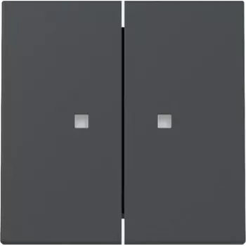Capac întrerupător cu buton dublu Gira System 55 cu fereastră de control, antracit mat 363128