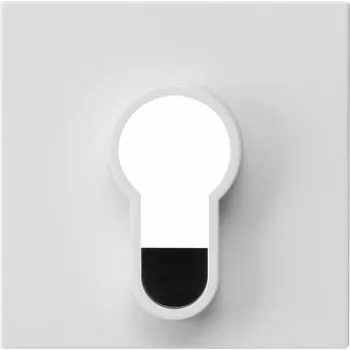 Capac Gira pentru întrerupător cu cheie, System 55, alb pur lucios, 55 x 55 mm 866403