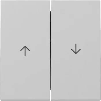 Capac basculant GIRA 3294015 2 module cu săgeată System 55 gri mat