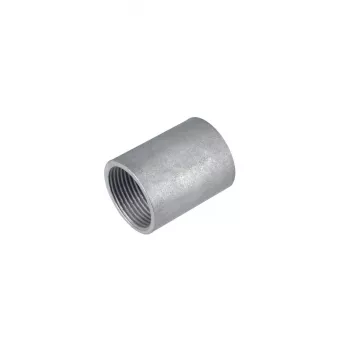 Cuplaj filetat pentru tub de oțel SM-E-V 50, zincat, M50, pentru FFS-ES/FFSK-ES-UV FRAENKISCHE 20450050