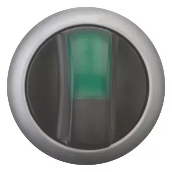 Comutator basculant Eaton M22-WLK3-G, negru/verde/argintiu 216837