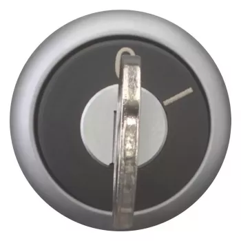 Întrerupător cu cheie Eaton M22-WRS-MS2, negru/titanium 111778