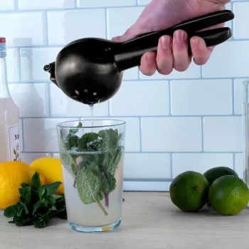 LURCH Manual Cold Press Juicer Smoke Grey 221425