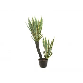 Plantă artificială EUROPALMS cactus orhidee, 160cm 82809035