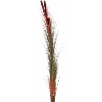 EUROPALMS, iarbă de stuf artificială cu spic, maro deschis, 152 cm, 82505856