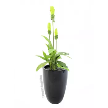 Europalms LEICHTSIN CUP-69 Planter, Black, Glossy (83011819)