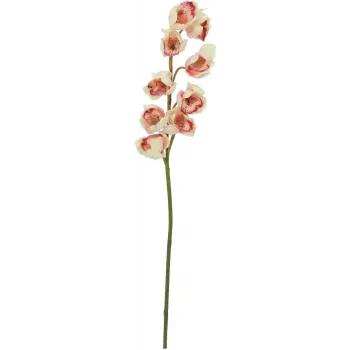 Ramură artificială de cymbidium EUROPALMS, crem-roz, 90 cm 82530311