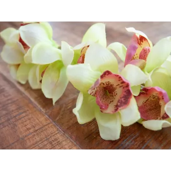 Ramură artificială de orhidee cymbidium EUROPALMS, verde, 90 cm 82530313