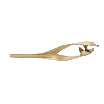 Vârf de frunză de palmier uscată EUROPALMS, auriu, 60 cm 83502362