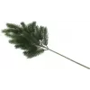 EUROPALMS Fir Branch, PE, 65cm 83500420
