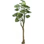 Plantă artificială Pothos Tree EUROPALMS 175cm 82600163