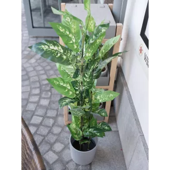 Plantă artificială Dieffenbachia EUROPALMS 120cm 82508306