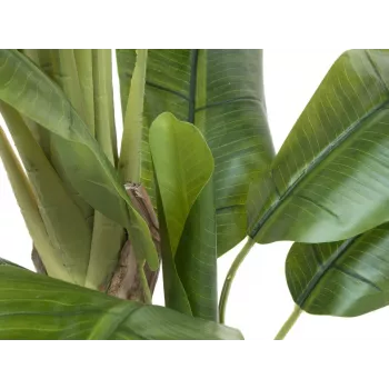 Bananier artificial EUROPALMS, 170cm, frunze verzi, ghiveci negru 82509539