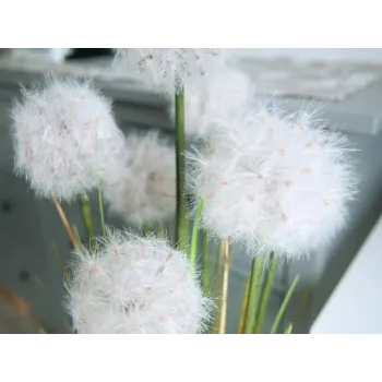EUROPALMS Artificial Dandelion Flower, 107cm, White 82600133