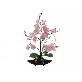 Aranjament cu orhidee EUROPALMS (EVA), artificial, violet (82530339)