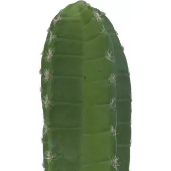 EUROPALMS Mexican Cactus Artificial Plant, Green, 97 cm 82801070