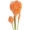 EUROPALMS Ramură de dalie artificială (EVA), portocaliu 82530582