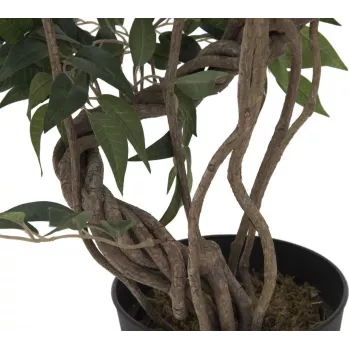 EUROPALMS Ficus Multi Spiral Trunk plantă artificială, 130cm 82806314