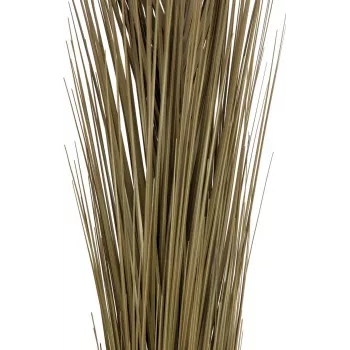 EUROPALMS Artificial Reed Grass, Khaki, 127 cm 82505853