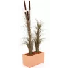 EUROPALMS Iarbă de stuf artificială cu spic, maro închis, 152cm 82505857