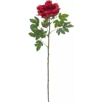 EUROPALMS Classic Peony Branch plantă artificială, magenta, 80cm 82530211
